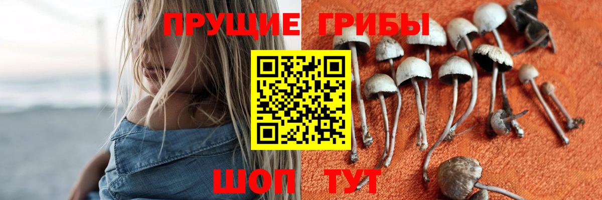 Псилоцибиновые грибы мицелий Качканар